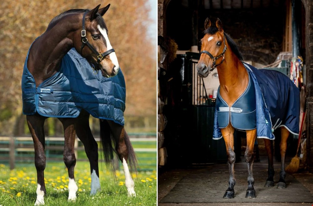 Waarom een paardendeken in de lente?